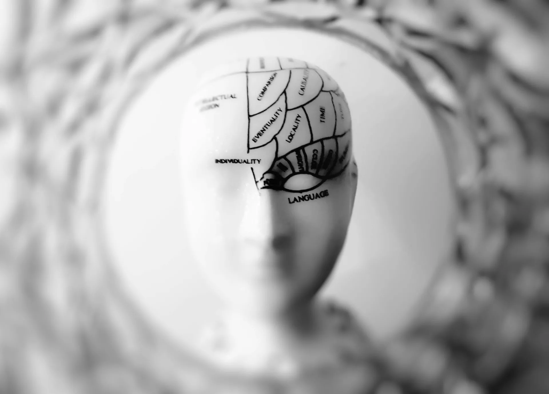 [Les neurosciences] appliquées aux comportements humains