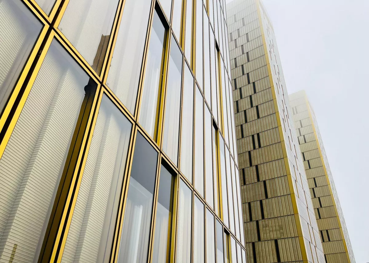 Bachelier en Droit à Bruxelles - Institutions Européennes